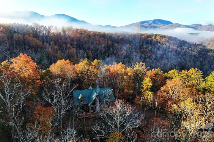 Property Photo:  3815 Bat Cave Road  NC 28762 