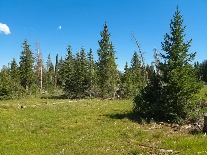 Property Photo: 2397 E Rainbow Ln UT 84719