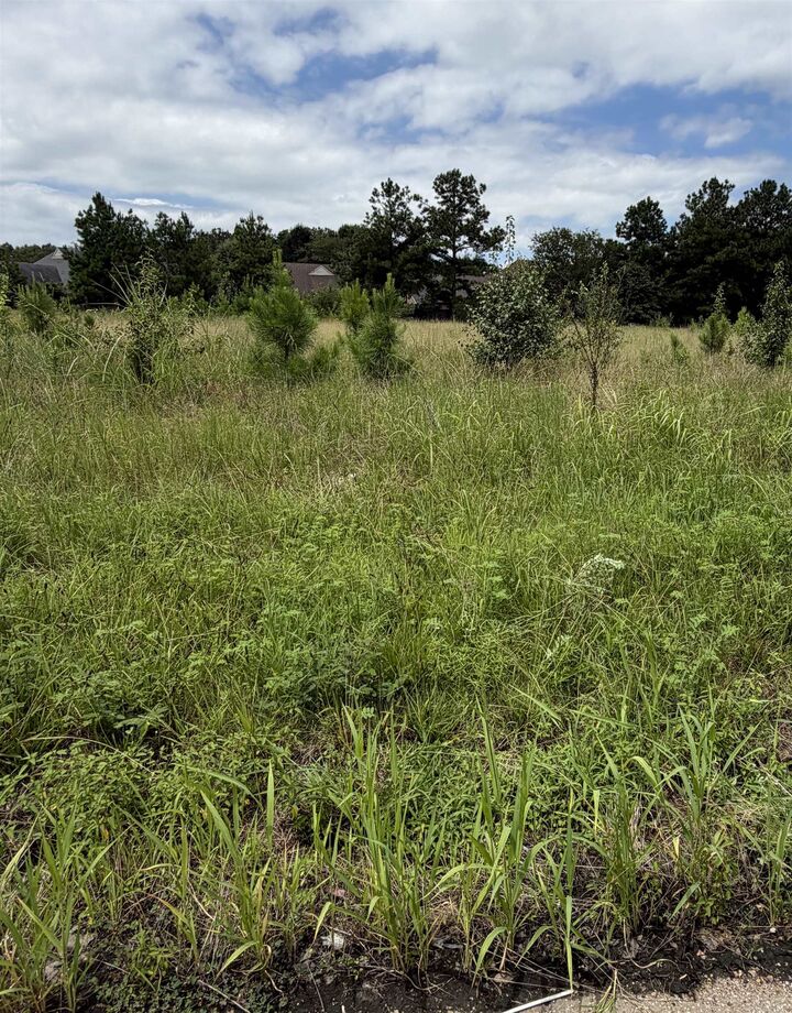 Property Photo:  0 Hacks Cross Rd  TN 38125 