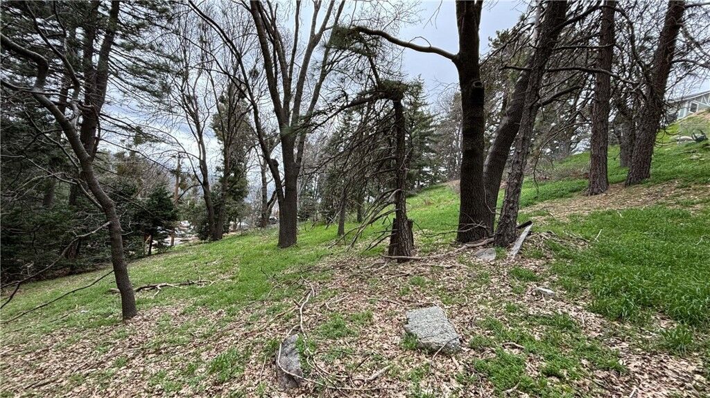 Property Photo: 757 Scenic View Drive CA 92325