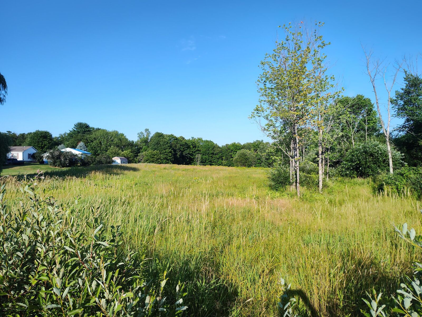 Property Photo: 23 Dexter Road ME 04971