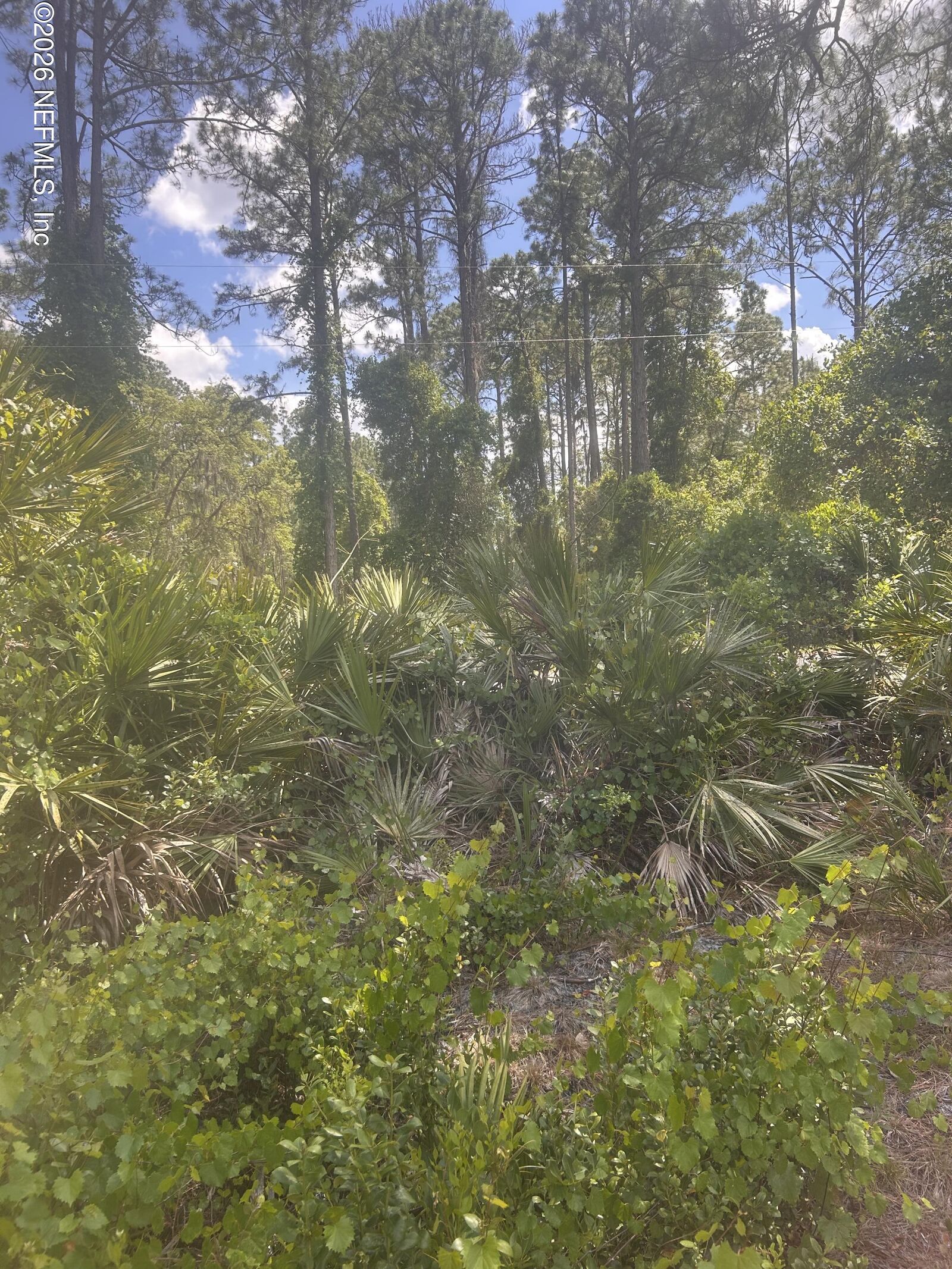 Property Photo: 128 Forest Street FL 32139