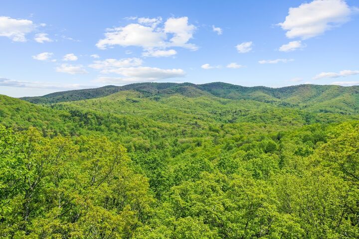 Property Photo: Lt 19 Forest Ridge Drive GA 30540