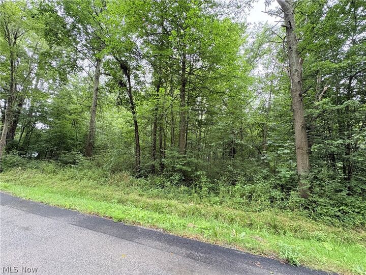Property Photo:  Bon Air Avenue NE  OH 44601 
