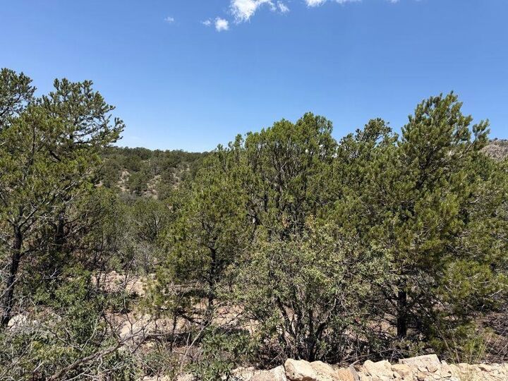 Property Photo: Canyon Dr NM 88350