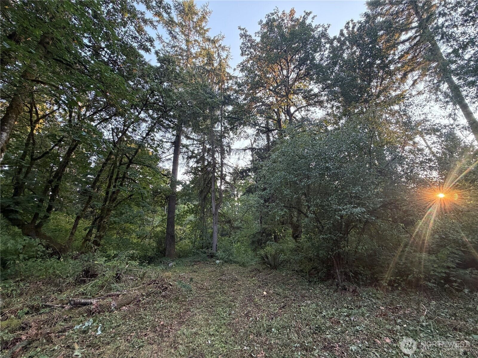 Property Photo:  19009  51st Avenue SE  WA 98012 