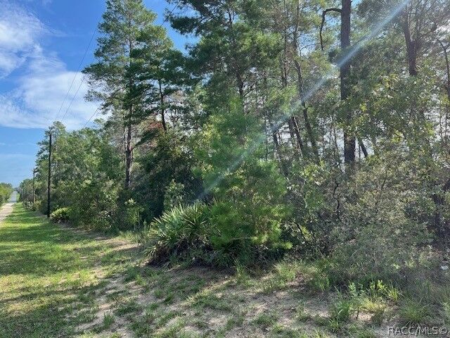 Property Photo: 7325 N Fairport Avenue FL 34433