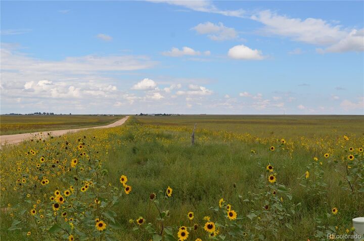 Property Photo:  Parcel 7 County Rd V  CO 80833 