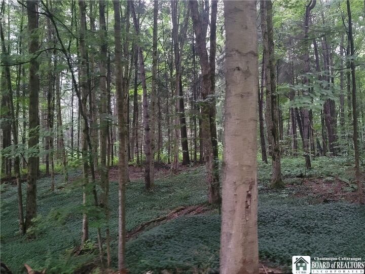 Property Photo:  0 Wade Hill Road  NY 14740 