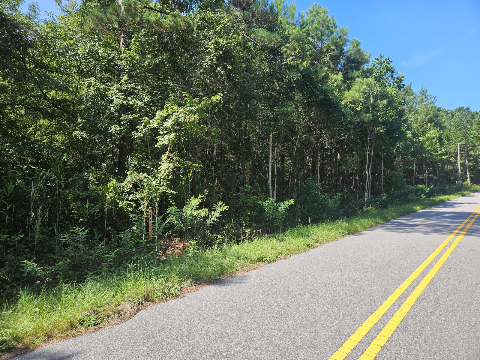 Property Photo:  0 Porcher School Road  SC 29429 
