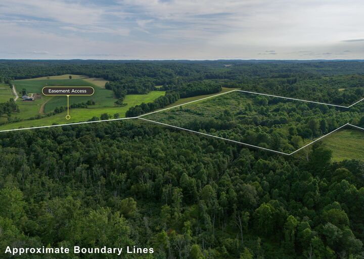 Property Photo: 0 David Reese Road OH 45656
