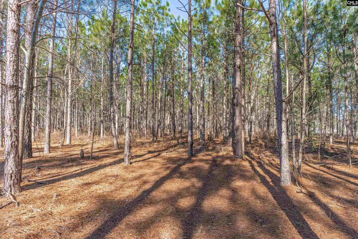 Property Photo:  Lot 2 Fairview 008200-07-010  SC 29006 