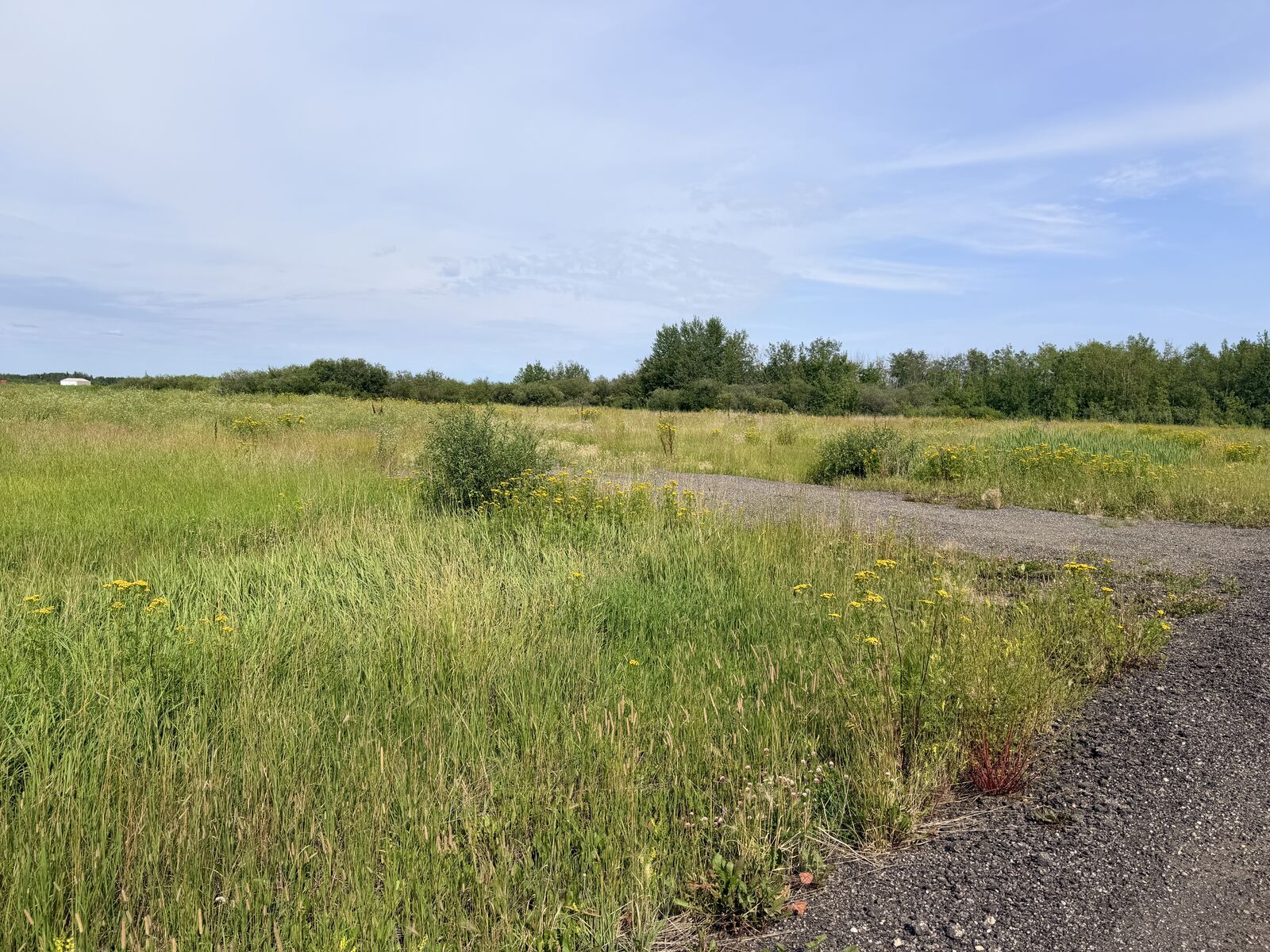 Property Photo:  Range Rd 260  AB T7P 2G1 