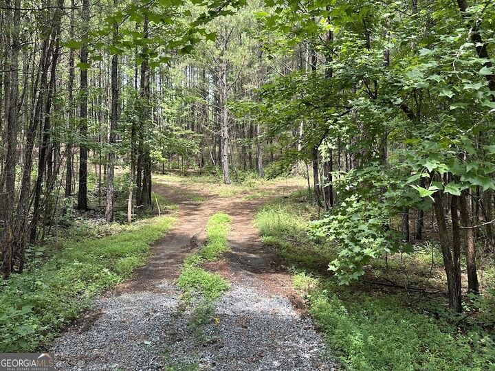 Property Photo:  0 Ferry Road  GA 30217 