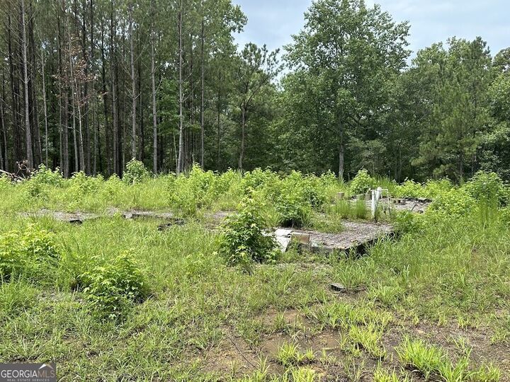 Property Photo: 0 Ferry Road GA 30217