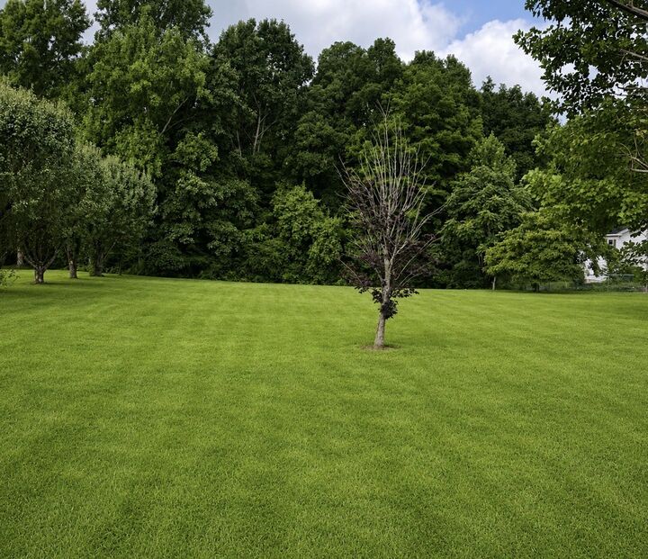 Property Photo:  53 Pine Grove Rd  TN 37166 