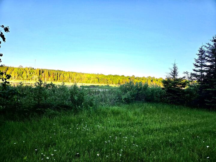 Property Photo:  Tbd 190th Street  MN 56621 