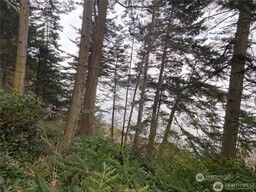 Property Photo:  4 Lot  Fauntleroy Point Rd  WA 98221 