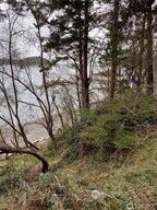 Property Photo: 3 Lot Fauntleroy Point Dr WA 98221