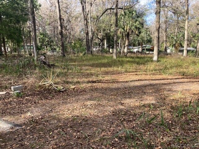 Property Photo:  2456 N Jungle Camp Road  FL 34453 