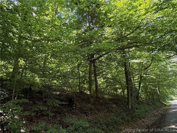 Property Photo: W Wheeler Hollow Road IN 47281
