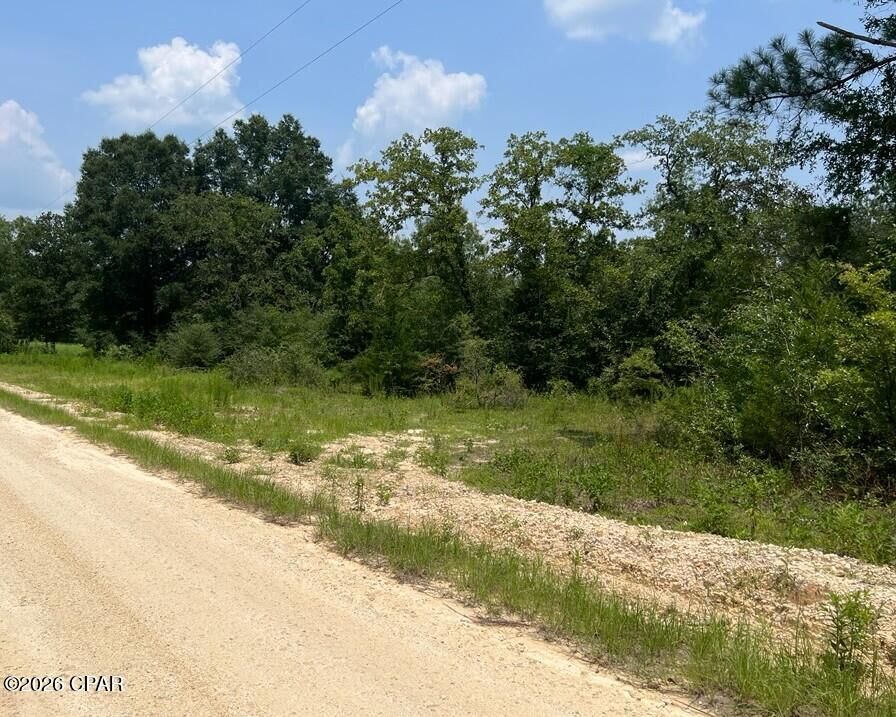 Property Photo:  0 Alton Lane  FL 32428 
