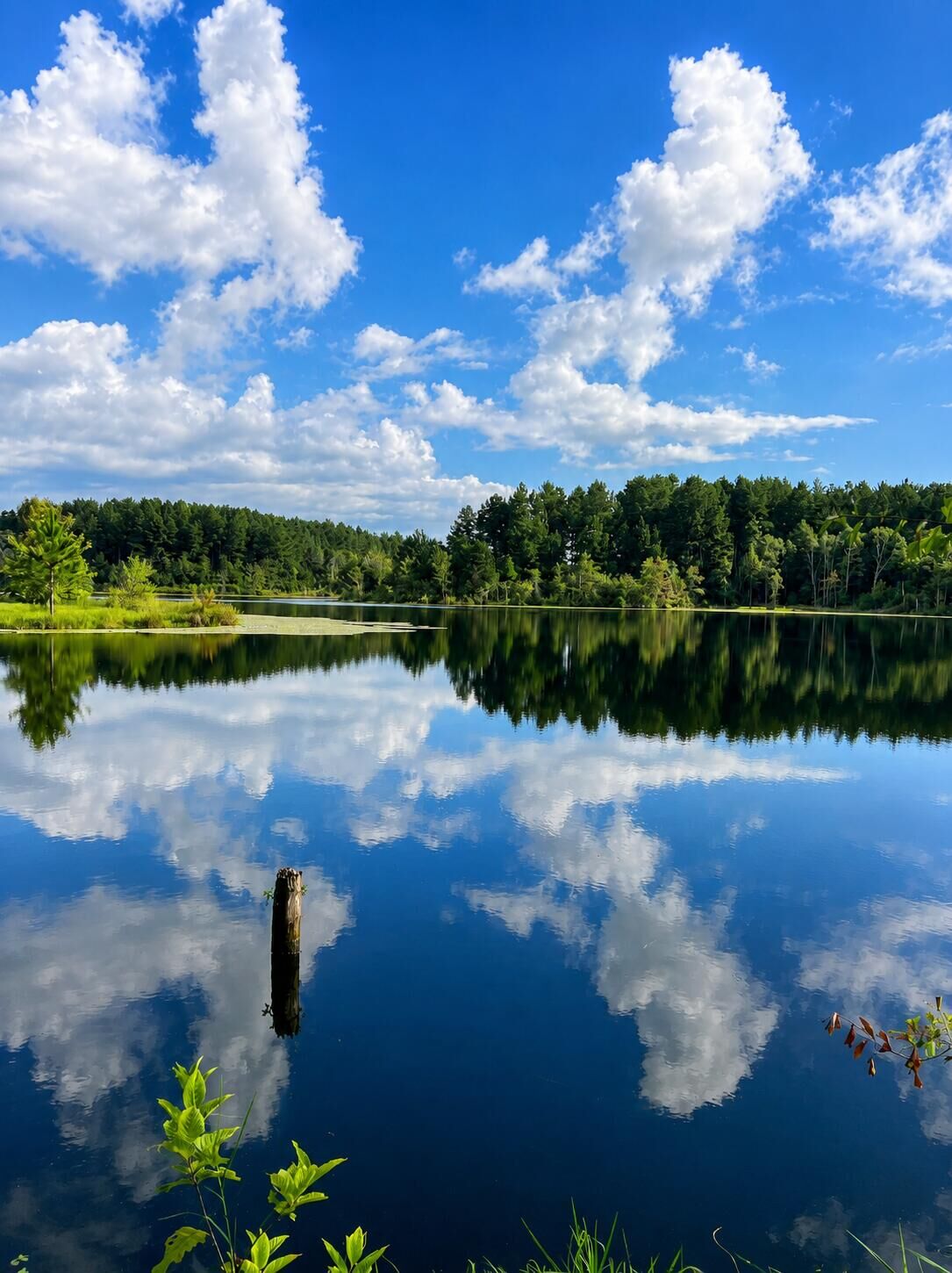 Property Photo: 1581 Hwy C 180 FL 32531