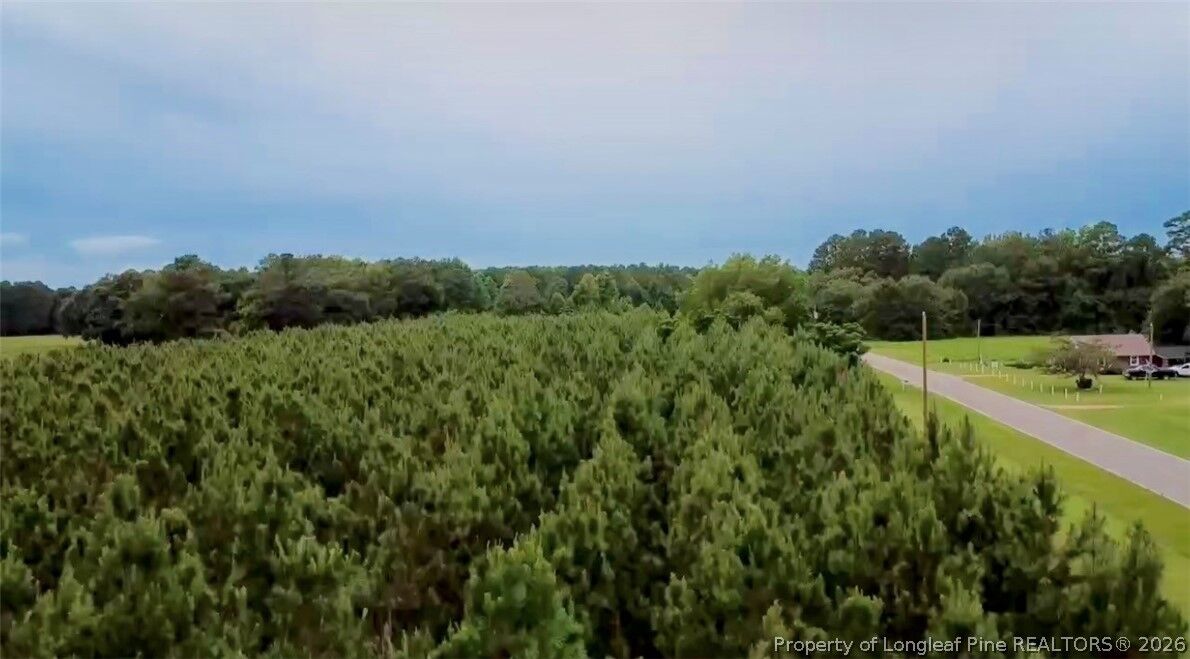 Property Photo:  Nc Hwy. 904 Highway W  NC 28340 