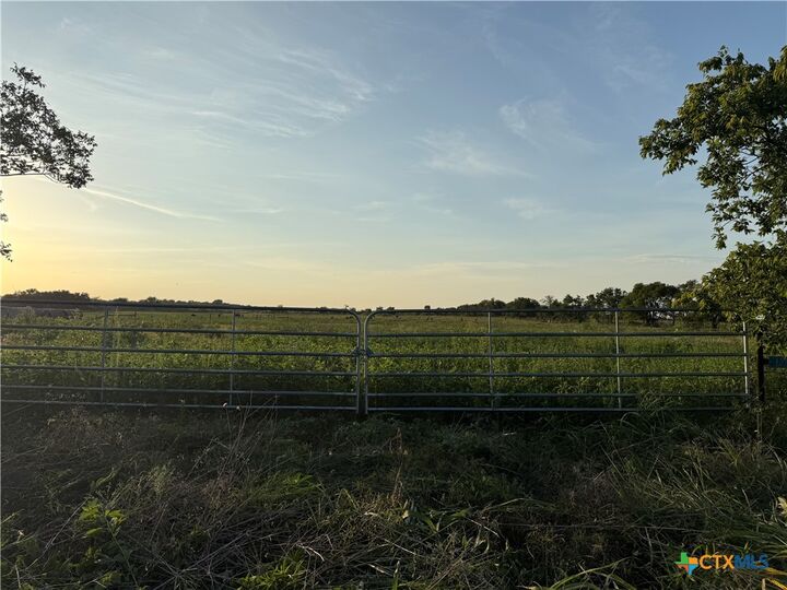 Property Photo:  153 County Road 243  TX 76653 