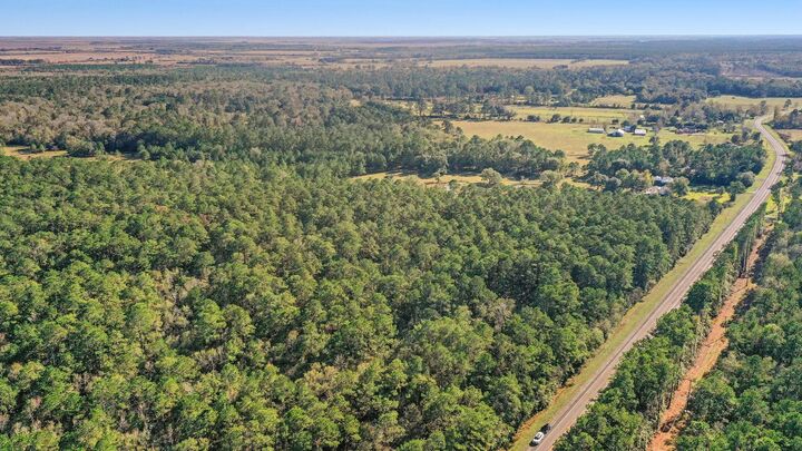 Property Photo: Tbd Highway 61 TX 77560