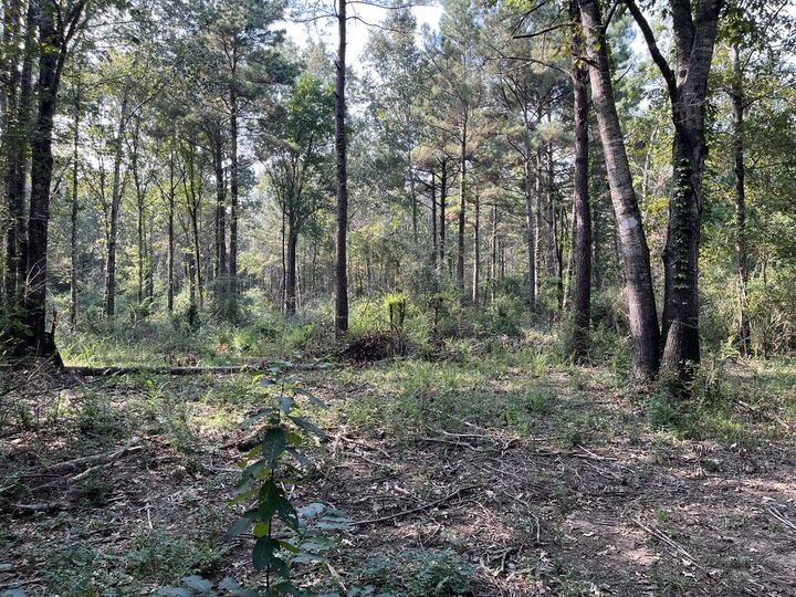 Property Photo:  16328 Hwy 69 South  TX 75949 