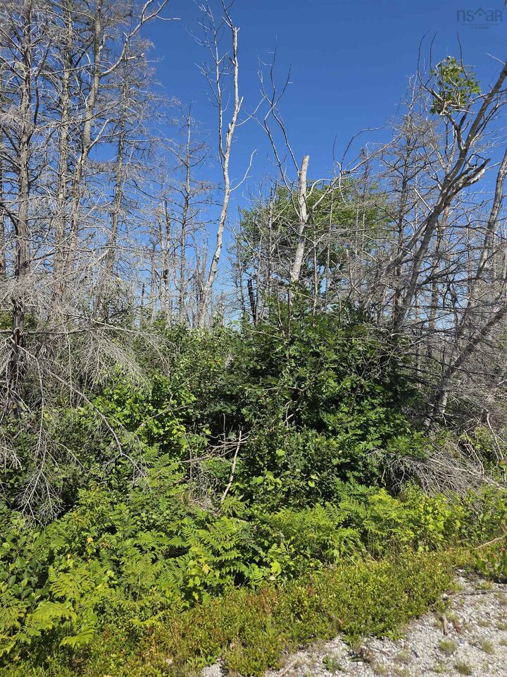 Property Photo:  Tbd Shore Road  NS B0T 1W0 