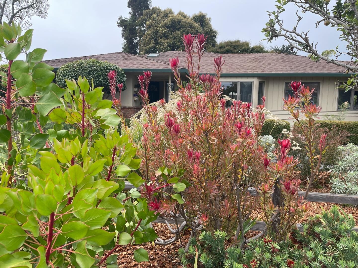 Property Photo:  215 Lamanda Drive  CA 95003 