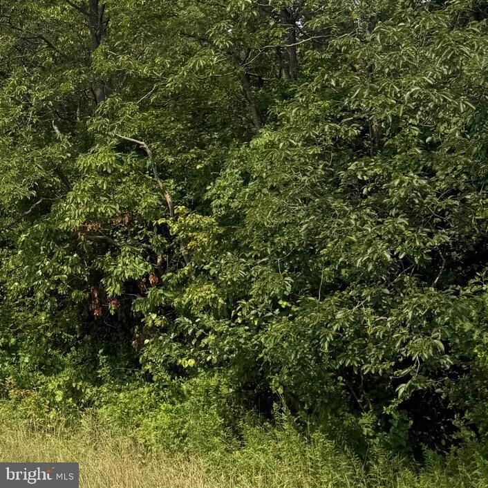 Property Photo: Parcel 73 Barclay Road MD 21607