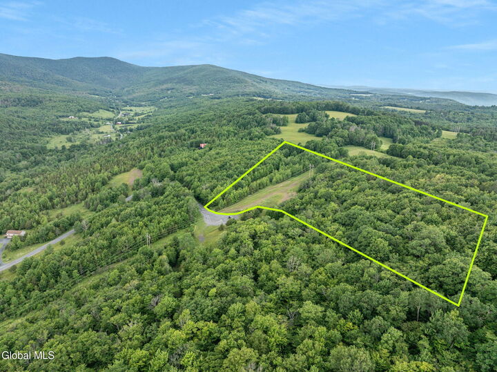 Property Photo:  L36 Overlook Drive  NY 12452 