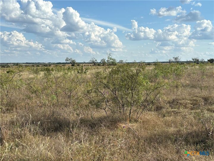 Property Photo: Lot 32 Homestead Dr. TX 76550