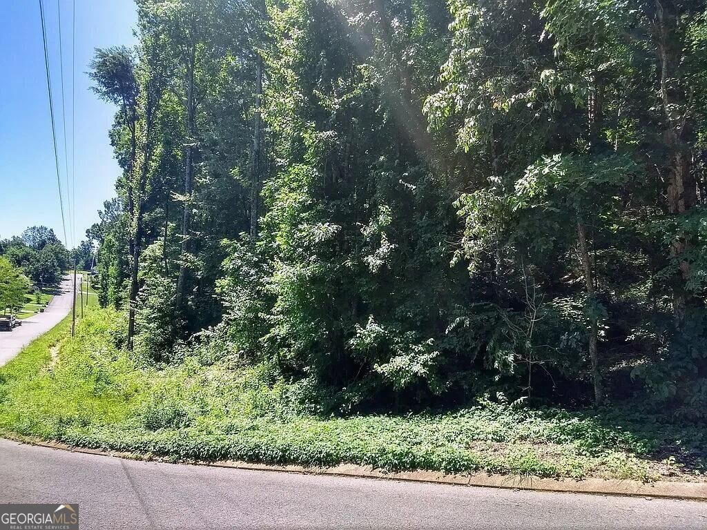 Property Photo:  225 Hickory Ridge Trail  GA 30736 