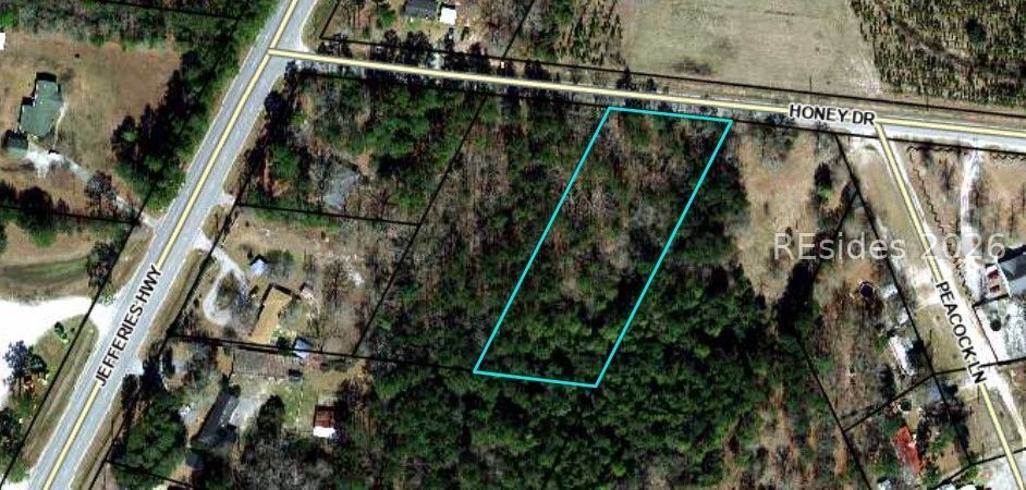 Property Photo: 90 Honey Drive SC 29488