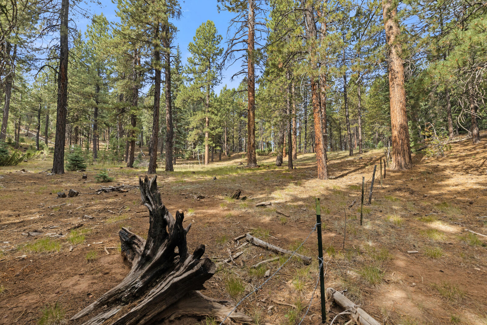 Property Photo:  20 Pinetree Trail  UT 84762 