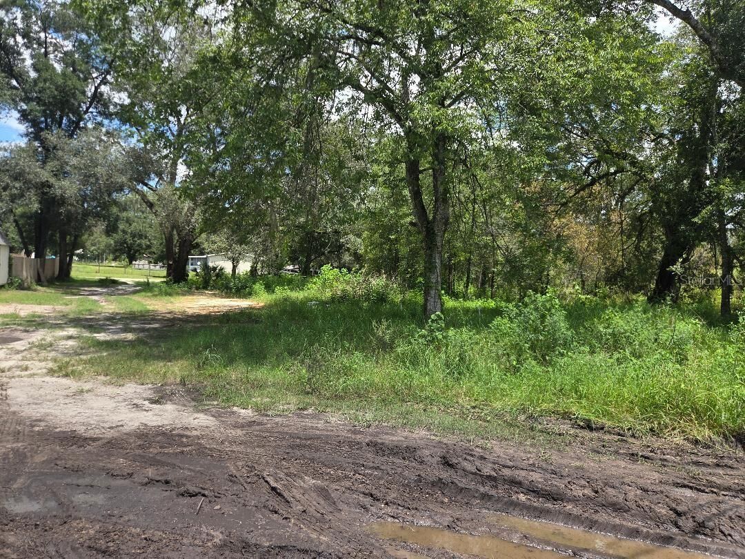 Property Photo: 39249 Lizabeth Circle FL 33542
