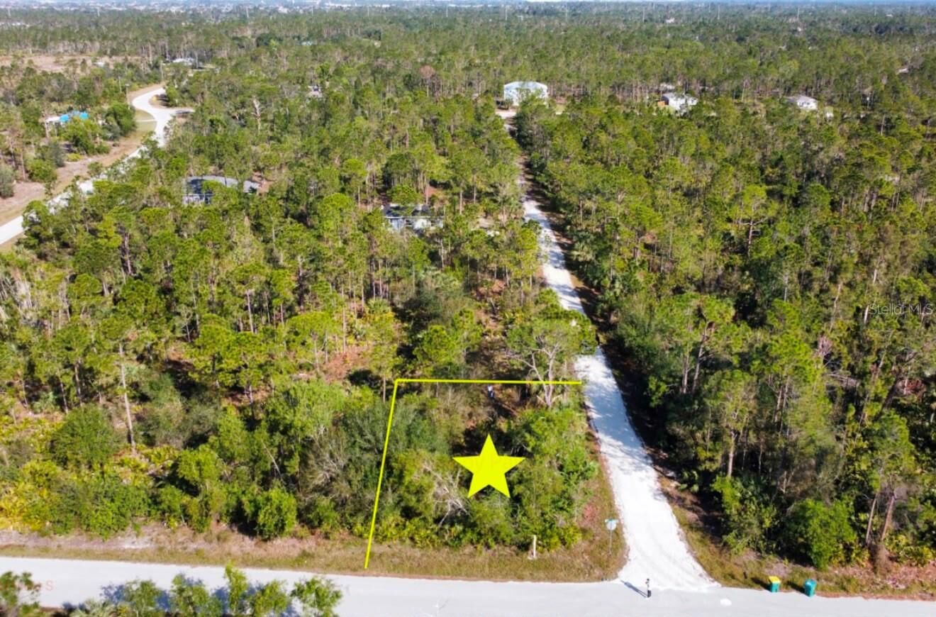 Property Photo:  12355 Graffiti Drive  FL 33955 
