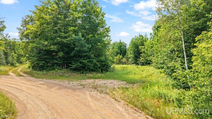 Property Photo: Tbd Bartels Road MI 49834