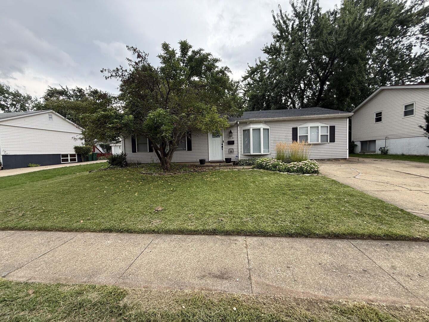 Property Photo:  219 Murphy Drive  IL 60446 