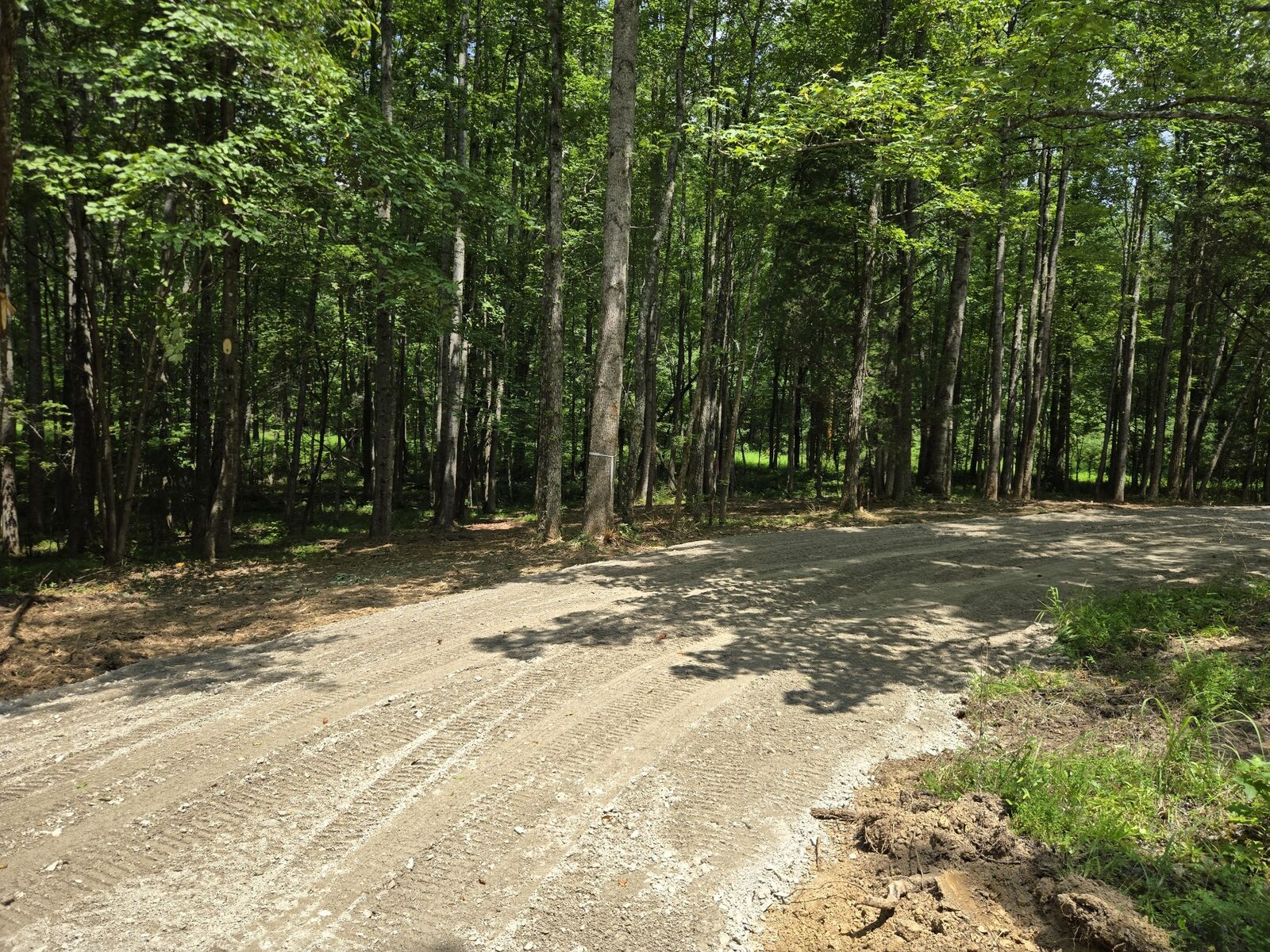 Property Photo:  0 Webb Road  TN 38483 