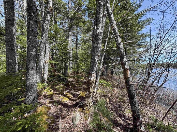 Property Photo:  Lot 6-23 Highway 325  NS B4V 8H3 