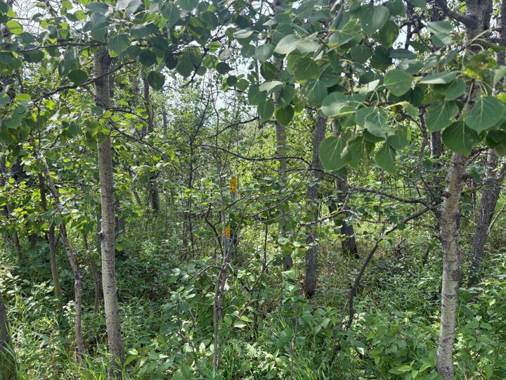 Property Photo: 22113 Twp Rd 440 328 AB T0B 1M0