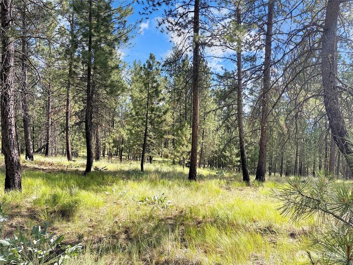 Property Photo: 2 Tanner Short Plat WA 98849