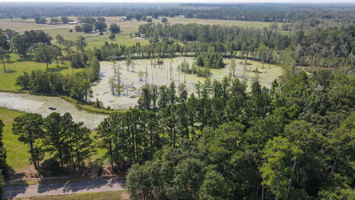 Property Photo:  1126 Johnnie Ingram Road  AL 36376 
