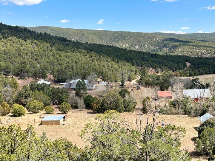 Property Photo:  53 County Road B44c  NM 87552 