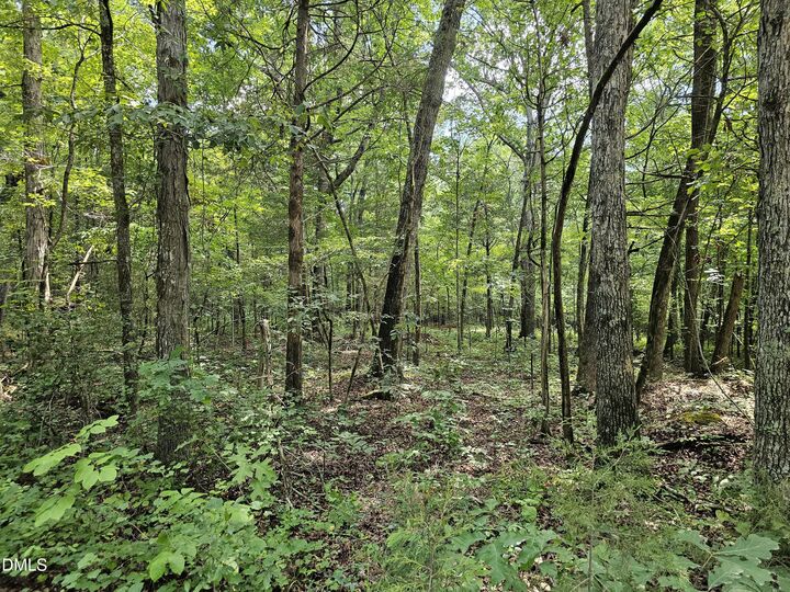 Property Photo:  625 Harts Creek Drive  NC 27312 